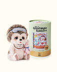 The Kiddom Motty Hedgehog